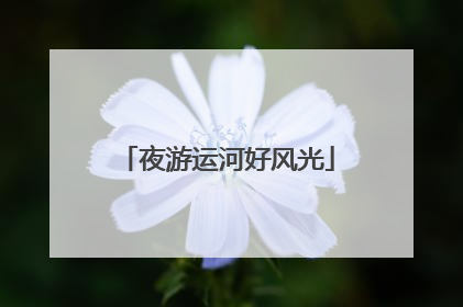 夜游运河好风光