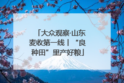 大众观察·山东麦收第一线丨“良种田”里产好粮