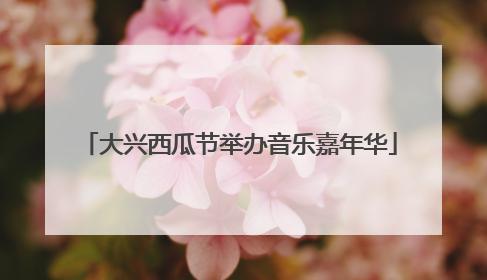 大兴西瓜节举办音乐嘉年华