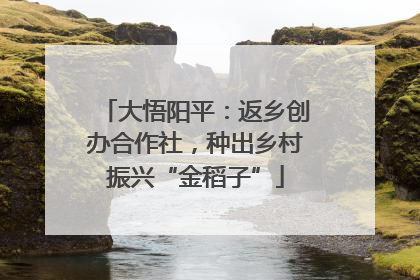 大悟阳平：返乡创办合作社，种出乡村振兴“金稻子”