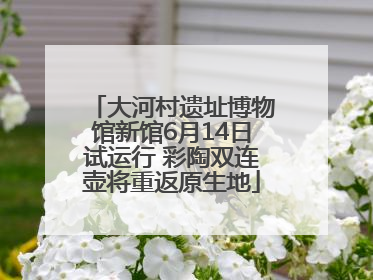 大河村遗址博物馆新馆6月14日试运行 彩陶双连壶将重返原生地