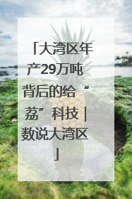 大湾区年产29万吨背后的给“荔”科技｜数说大湾区
