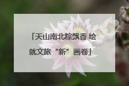 天山南北粽飘香 绘就文旅“新”画卷