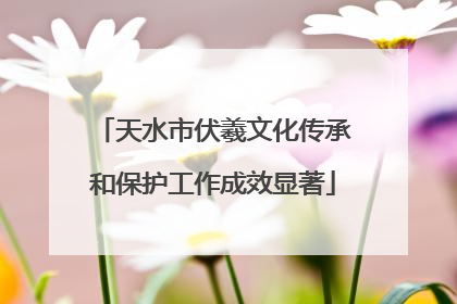 天水市伏羲文化传承和保护工作成效显著