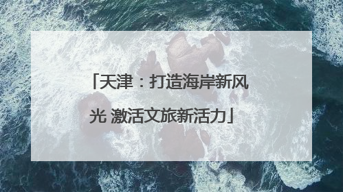 天津：打造海岸新风光 激活文旅新活力