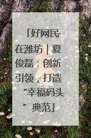 好网民·在潍坊｜夏俊磊：创新引领，打造“幸福码头”典范