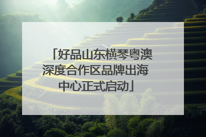 好品山东横琴粤澳深度合作区品牌出海中心正式启动