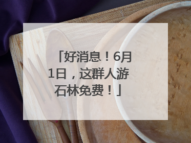 好消息！6月1日，这群人游石林免费！