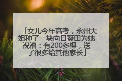 女儿今年高考，永州大姐种了一块向日葵田为她祝福：有200多棵，送了很多给其他家长