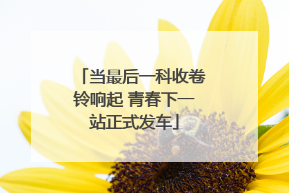 当最后一科收卷铃响起 青春下一站正式发车