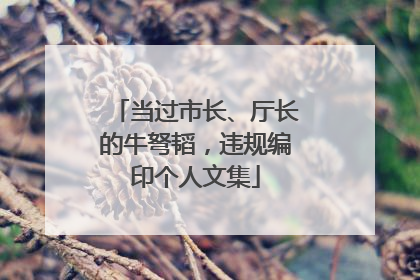 当过市长、厅长的牛弩韬，违规编印个人文集