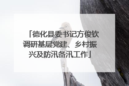 德化县委书记方俊钦调研基层党建、乡村振兴及防汛备汛工作