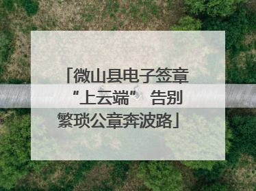 微山县电子签章“上云端” 告别繁琐公章奔波路