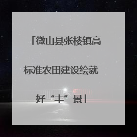 微山县张楼镇高标准农田建设绘就好“丰”景