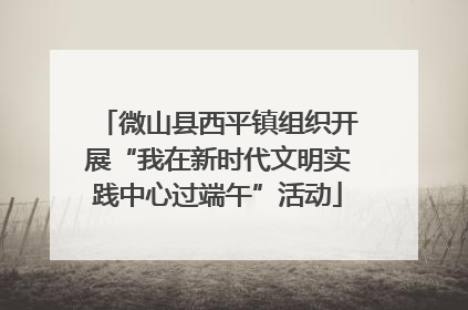 微山县西平镇组织开展“我在新时代文明实践中心过端午”活动
