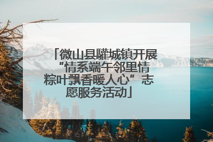 微山县驩城镇开展“情系端午邻里情 粽叶飘香暖人心”志愿服务活动