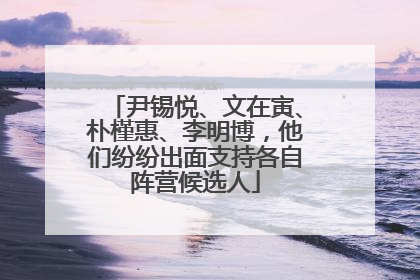 尹锡悦、文在寅、朴槿惠、李明博，他们纷纷出面支持各自阵营候选人