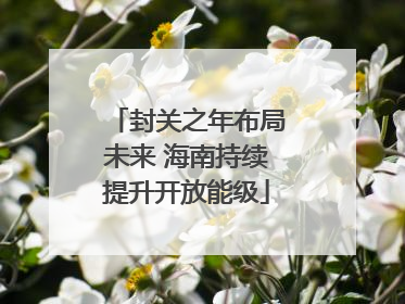 封关之年布局未来 海南持续提升开放能级