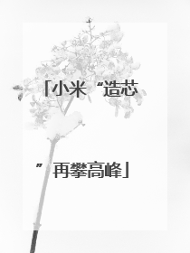 小米“造芯”再攀高峰