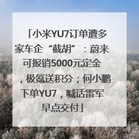 小米YU7订单遭多家车企“截胡”：蔚来可报销5000元定金，极氪送积分；何小鹏下单YU7，喊话雷军早点交付