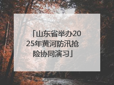 山东省举办2025年黄河防汛抢险协同演习