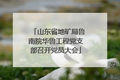 山东省地矿局鲁南院华鲁工程党支部召开党员大会