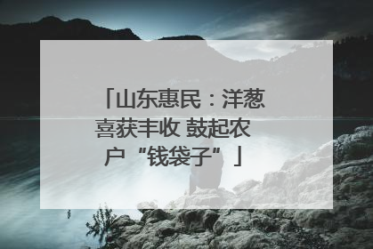 山东惠民：洋葱喜获丰收 鼓起农户“钱袋子”