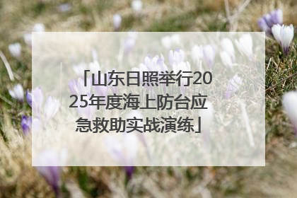 山东日照举行2025年度海上防台应急救助实战演练