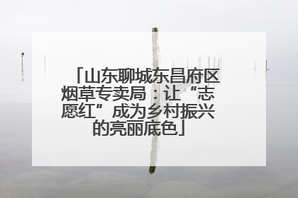 山东聊城东昌府区烟草专卖局：让“志愿红”成为乡村振兴的亮丽底色