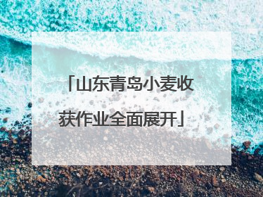 山东青岛小麦收获作业全面展开