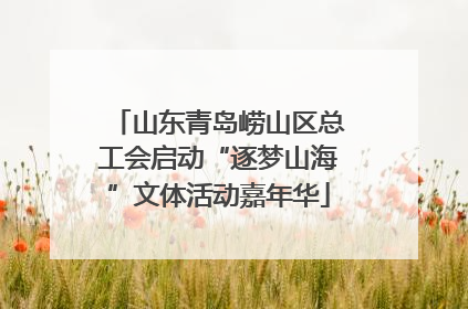山东青岛崂山区总工会启动“逐梦山海”文体活动嘉年华