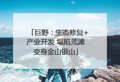 巨野：生态修复+产业开发 塌陷荒滩变身金山银山