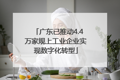 广东已推动4.4万家规上工业企业实现数字化转型
