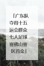 广东队夺得十五运会群众七人足球赛佛山赛区首金