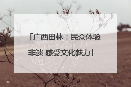 广西田林：民众体验非遗 感受文化魅力