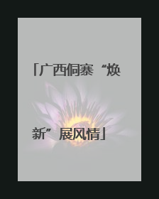 广西侗寨“焕新”展风情