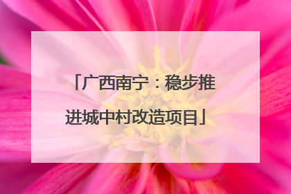 广西南宁：稳步推进城中村改造项目