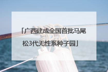 广西建成全国首批马尾松3代无性系种子园
