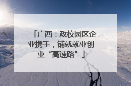 广西：政校园区企业携手，铺就就业创业“高速路”