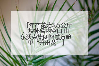 年产花菇3万公斤、填补省内空白 山东沃克集团智慧方舱里“开出花”