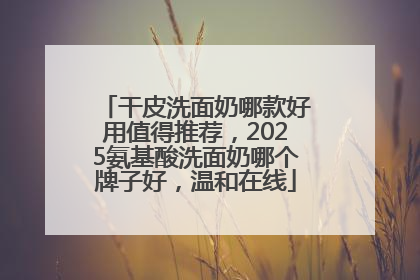 干皮洗面奶哪款好用值得推荐，2025氨基酸洗面奶哪个牌子好，温和在线