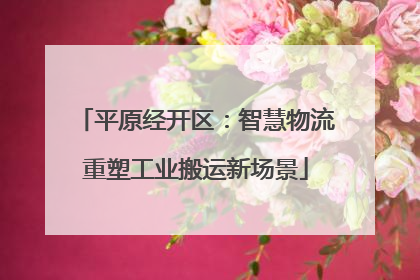 平原经开区：智慧物流重塑工业搬运新场景