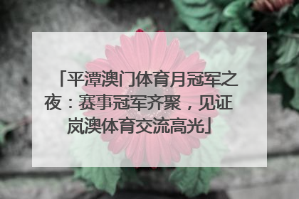 平潭澳门体育月冠军之夜：赛事冠军齐聚，见证岚澳体育交流高光