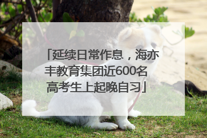 延续日常作息，海亦丰教育集团近600名高考生上起晚自习