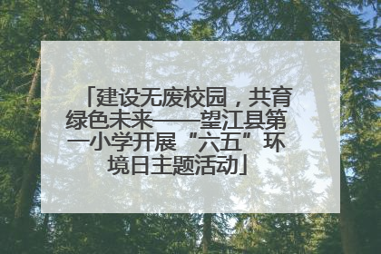 建设无废校园，共育绿色未来——望江县第一小学开展“六五”环境日主题活动