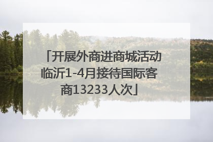 开展外商进商城活动 临沂1-4月接待国际客商13233人次