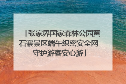 张家界国家森林公园黄石寨景区端午织密安全网 守护游客安心游