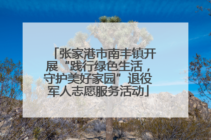 张家港市南丰镇开展“践行绿色生活，守护美好家园”退役军人志愿服务活动