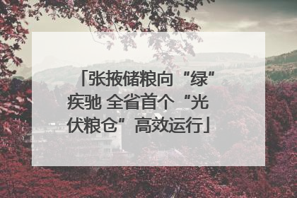 张掖储粮向“绿”疾驰 全省首个“光伏粮仓”高效运行