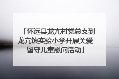 怀远县龙亢村党总支到龙亢镇实验小学开展关爱留守儿童慰问活动